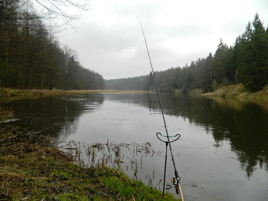 Как ловить на фидер в апреле на реке: советы и рекомендации